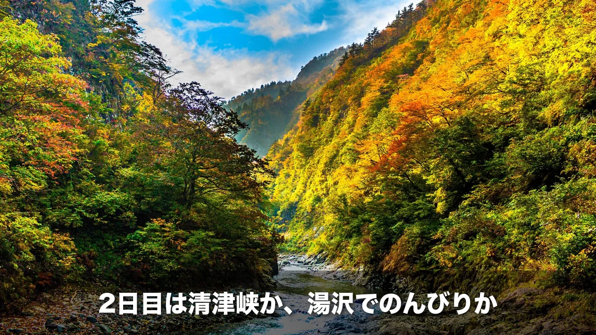 紅葉に染まる清津峡の渓谷