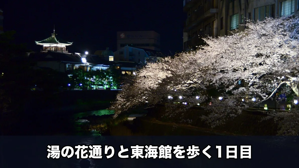 東海館と松川のさくらライトアップ