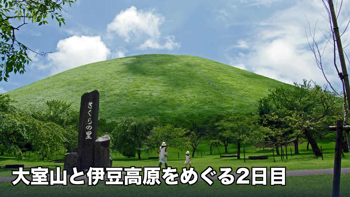 大室山さくらの里から望む大室山