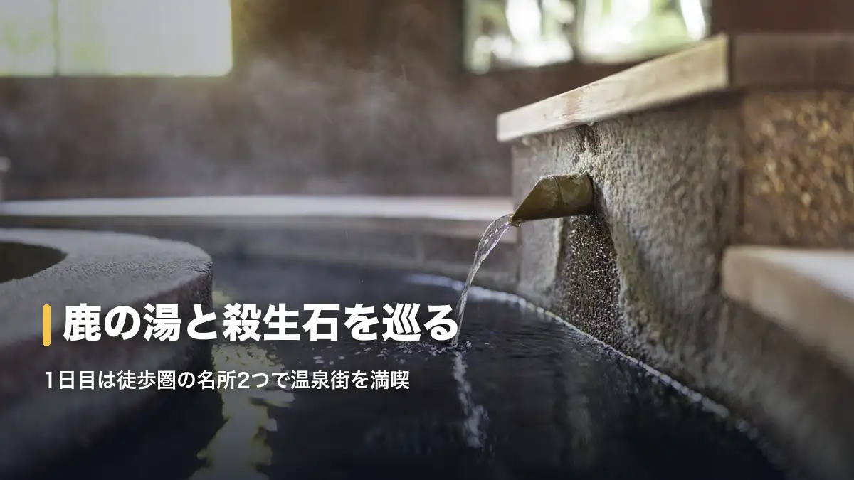 湯気の立つ源泉かけ流しの湯船