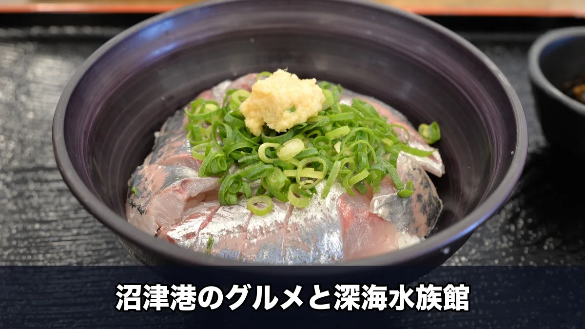 沼津名物のアジ丼