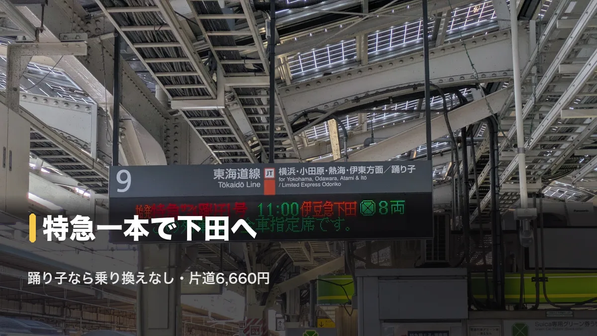 東京駅の特急サフィール踊り子1号発車案内、下田行き特急は乗り換えなし