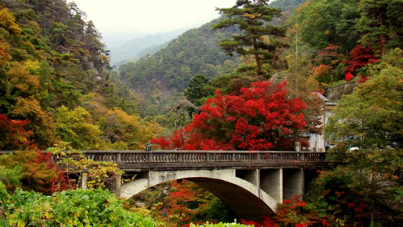 昇仙峡の長潭橋と紅葉