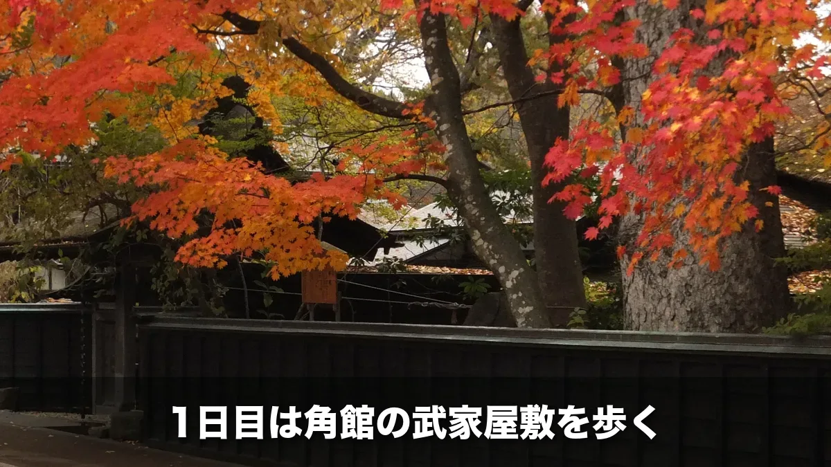 角館の武家屋敷通りの黒板塀と紅葉