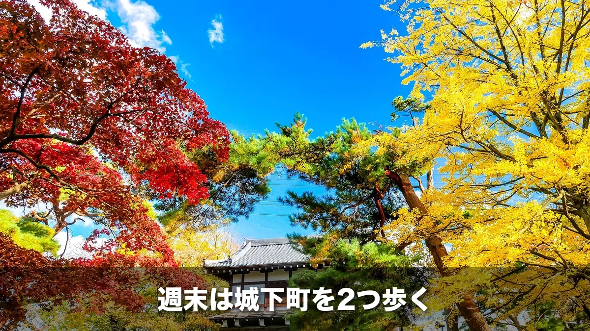 紅葉した千秋公園