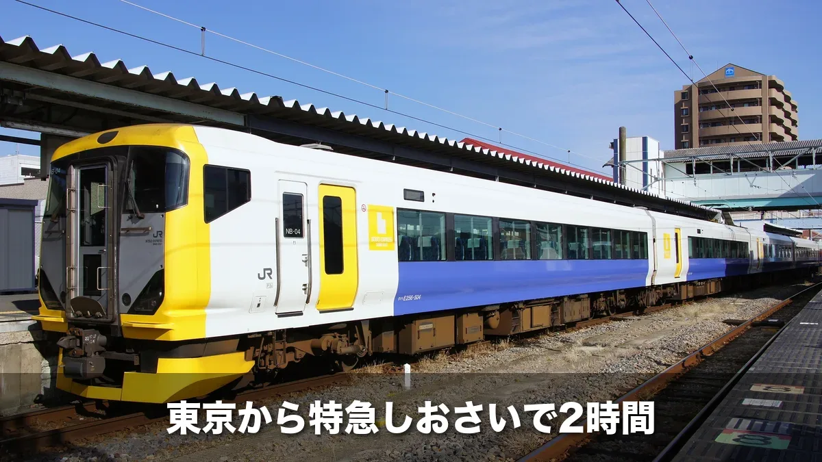銚子駅に停まる特急しおさいのE257系