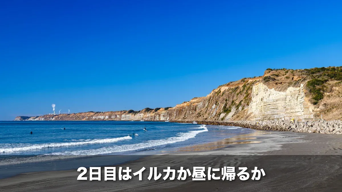 銚子の屏風ヶ浦の断崖と海岸