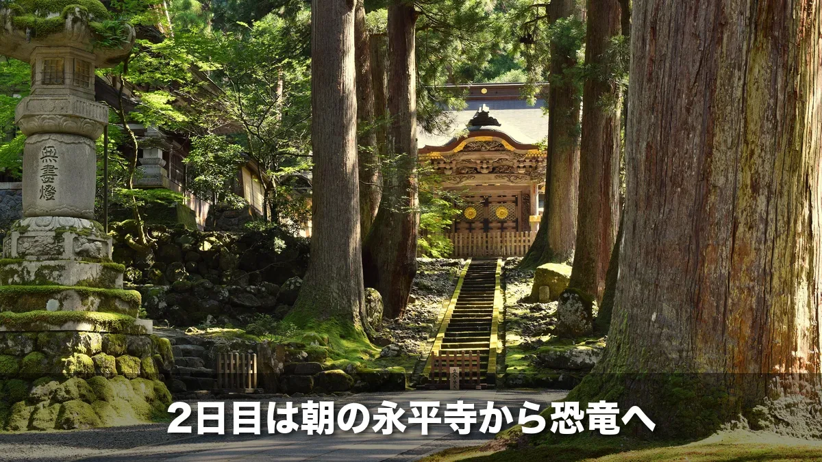 杉の木立の中に建つ永平寺の門
