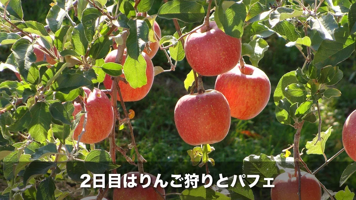 木になる赤いりんご