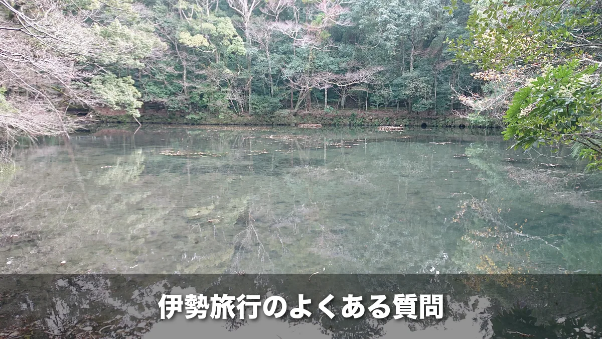 木々に囲まれた静かな池の水面