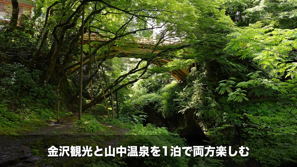 山中温泉・鶴仙渓の緑の渓谷