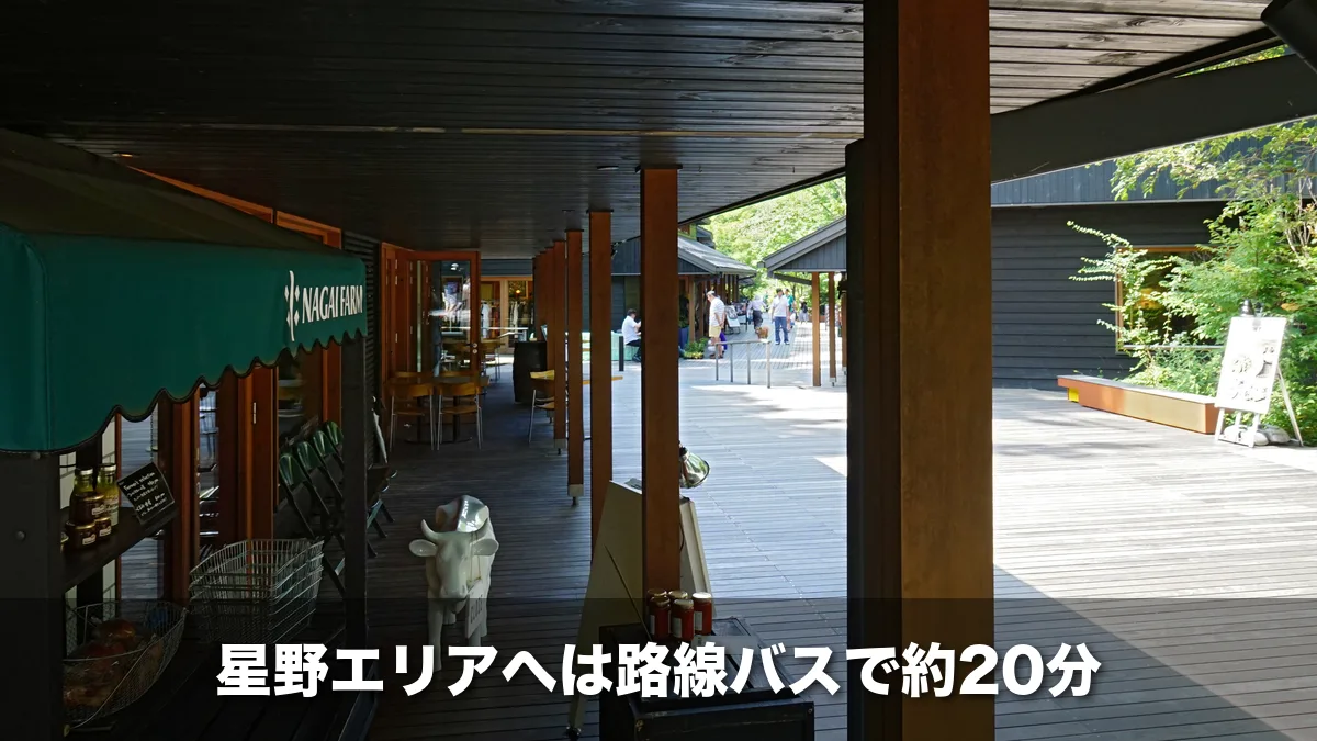 星野エリアのハルニレテラスの木道と店