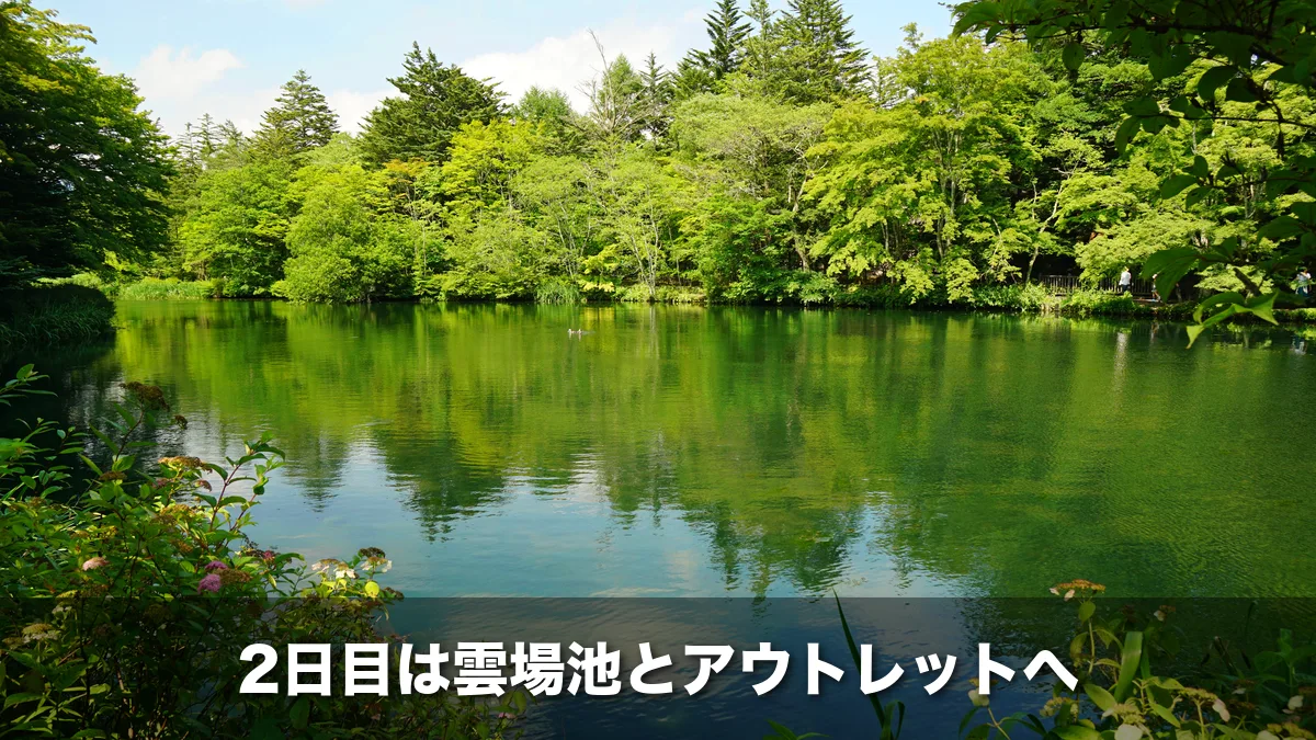 緑の木々が水面に映る雲場池