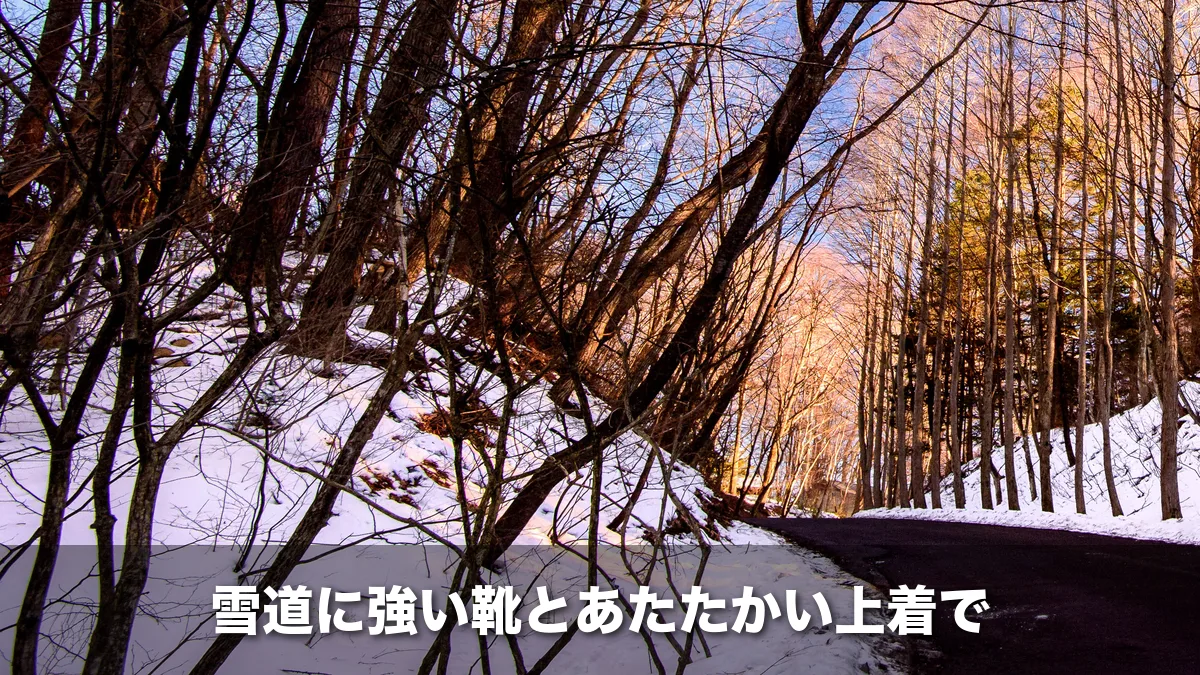雪が積もった軽井沢の雑木林と道