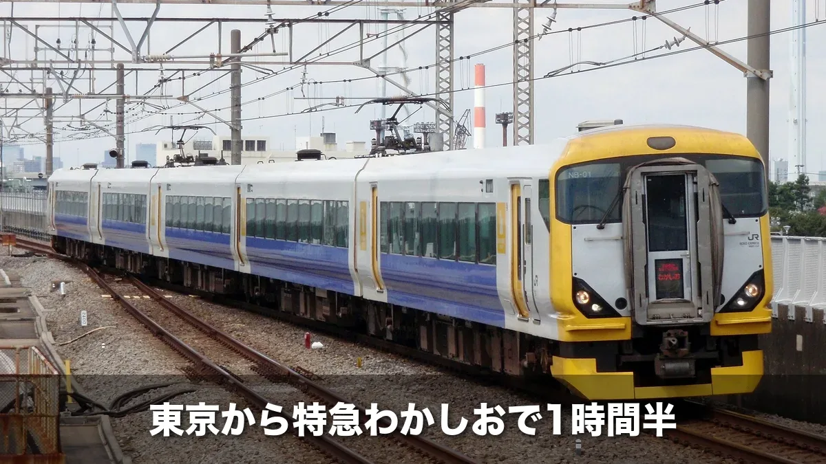 外房線を走る特急わかしお