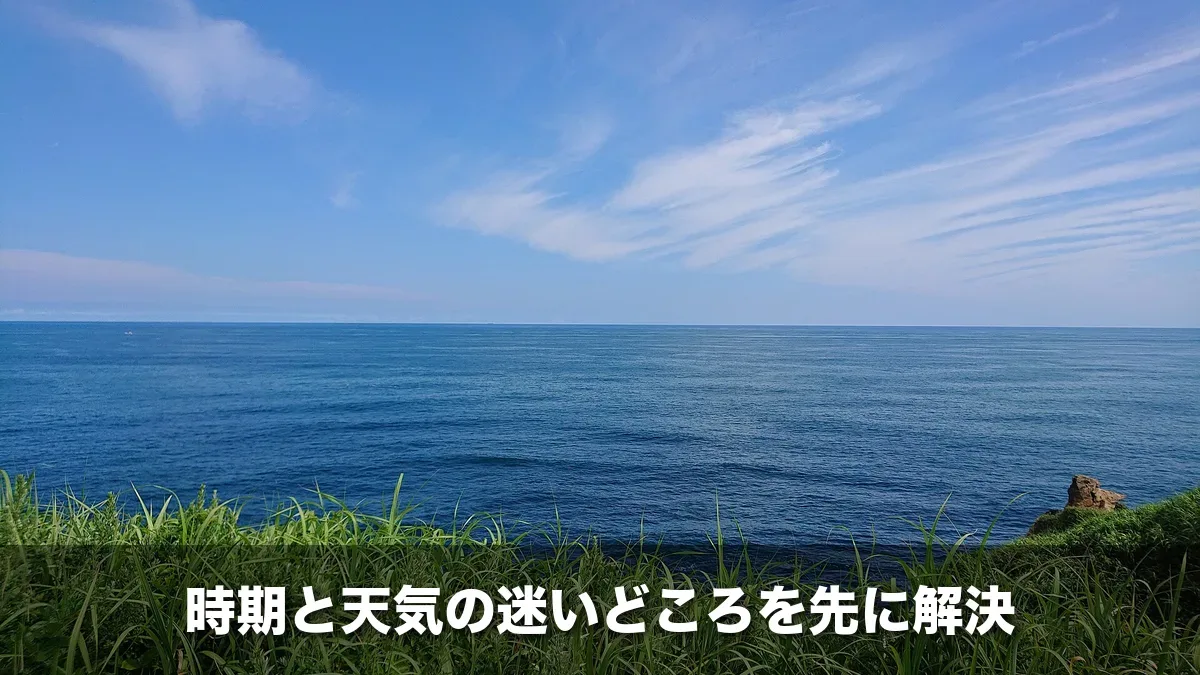 八幡岬公園の展望台から見た太平洋
