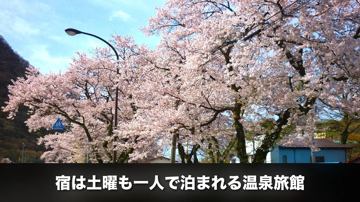 鬼怒川公園駅前の桜並木