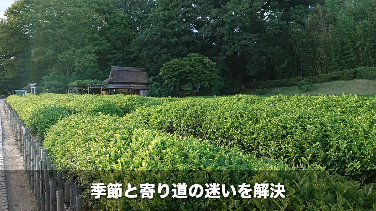岡山後楽園の茶畑と茶屋
