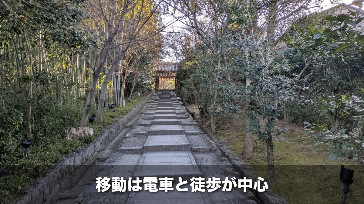 竹林と木々に囲まれた東山の石畳の参道