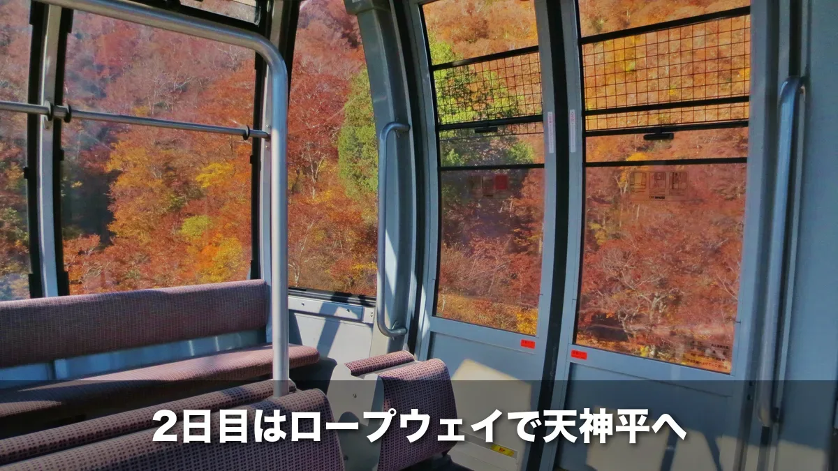 谷川岳ロープウェイのゴンドラの車内と紅葉