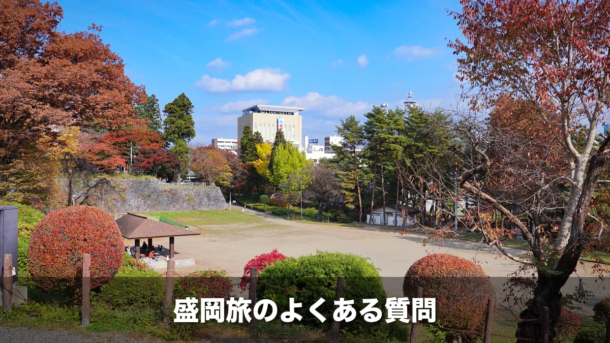 盛岡城跡から見た秋の盛岡の街