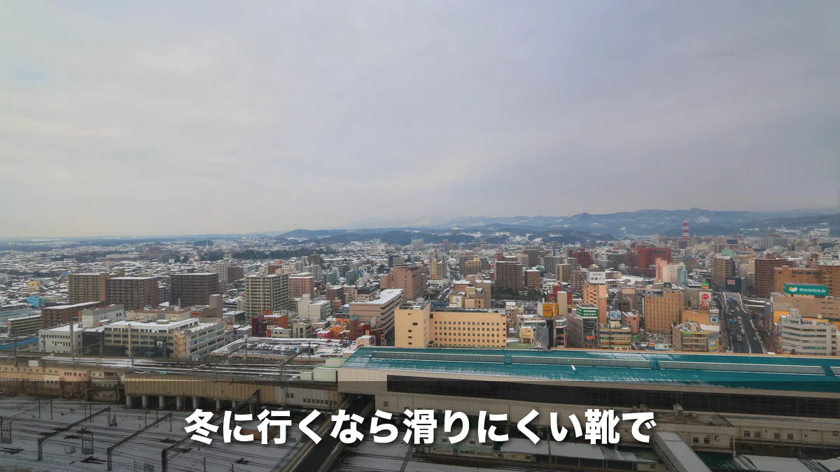 雪の残る冬の盛岡の街並みと盛岡駅