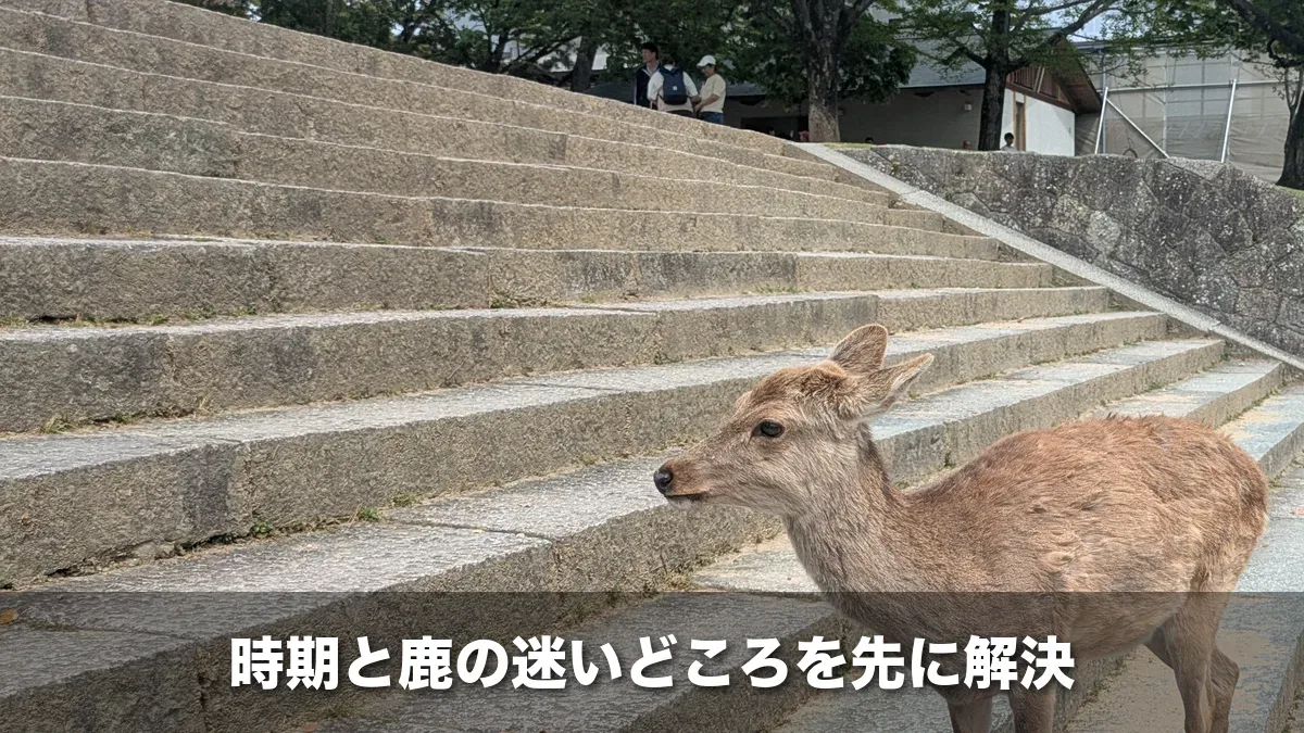 奈良公園の石段に立つ鹿