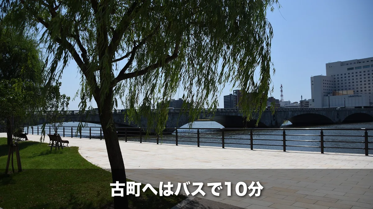 柳の並ぶやすらぎ堤から見た萬代橋