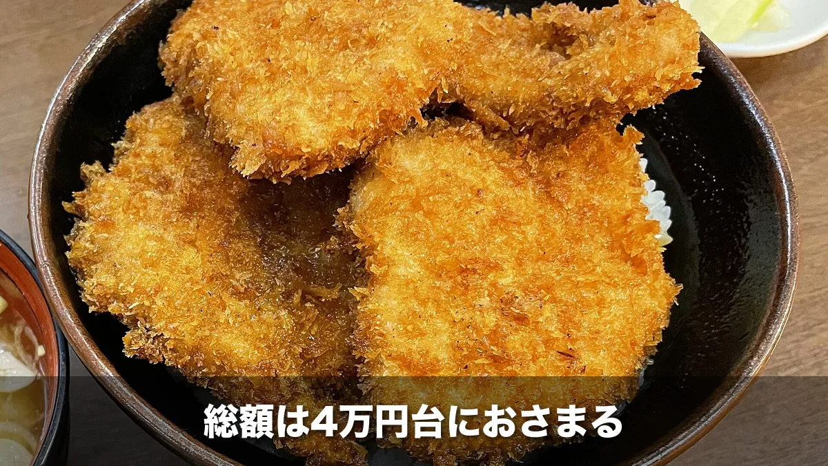 どんぶりに並んだ新潟名物のタレカツ丼