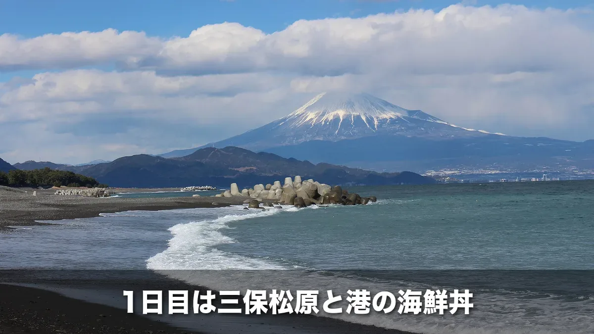 三保の海岸から見た富士山