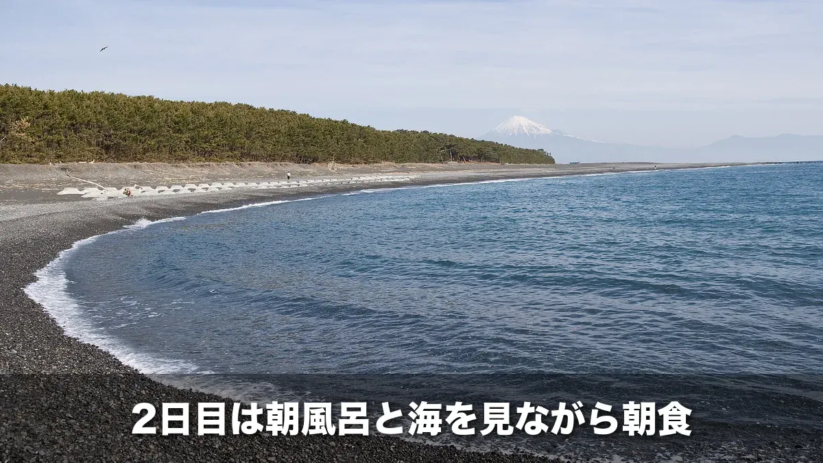 弧を描く三保の浜と松林