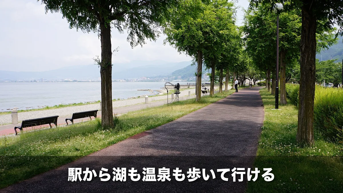 諏訪湖畔の並木の遊歩道とベンチ