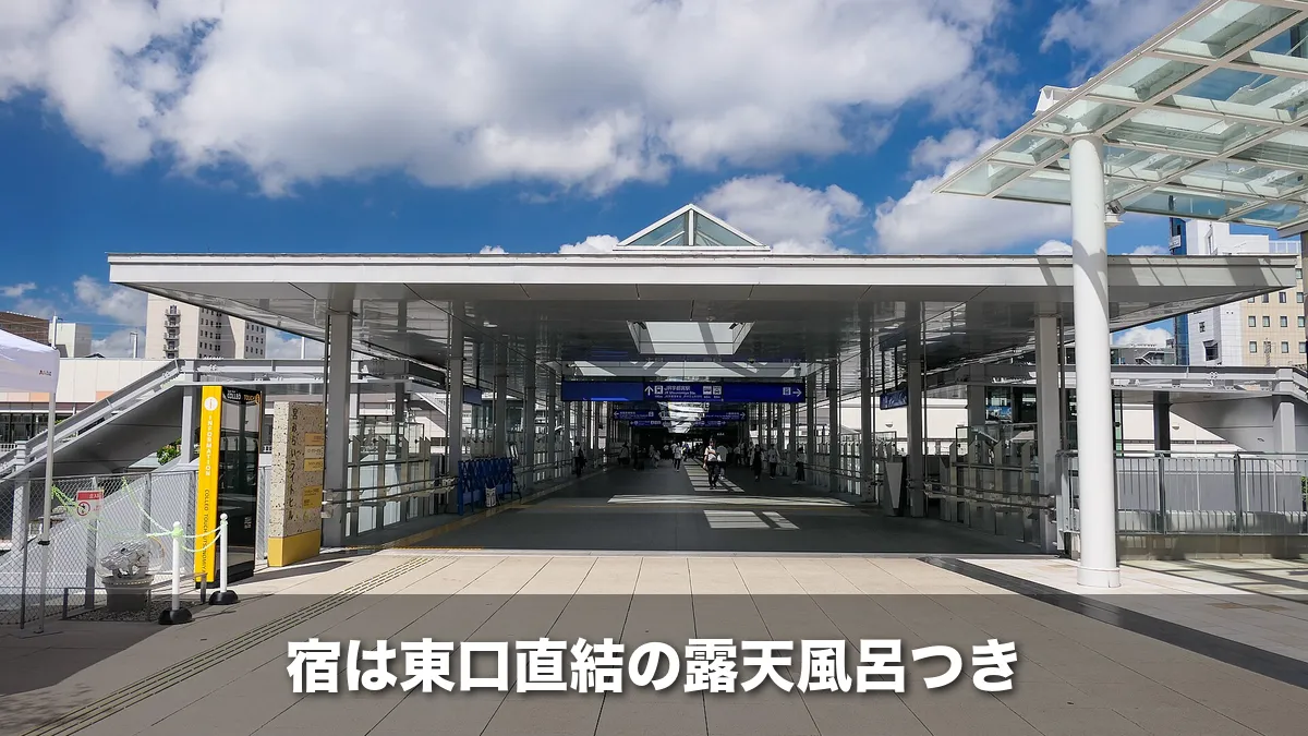 宇都宮駅東口の屋根つきの入口