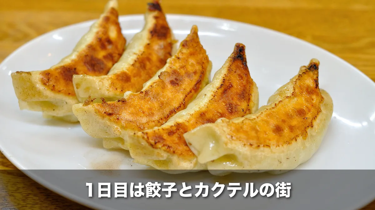 皿に並んだ宇都宮の焼き餃子