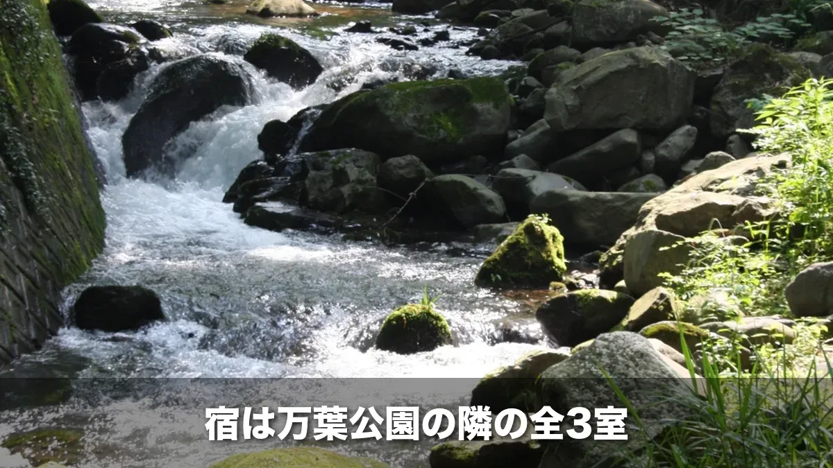 万葉公園を流れる千歳川の渓流