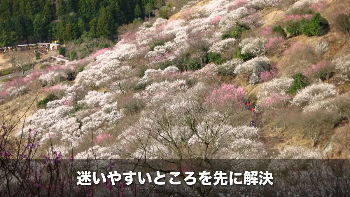 湯河原梅林（幕山公園）の梅