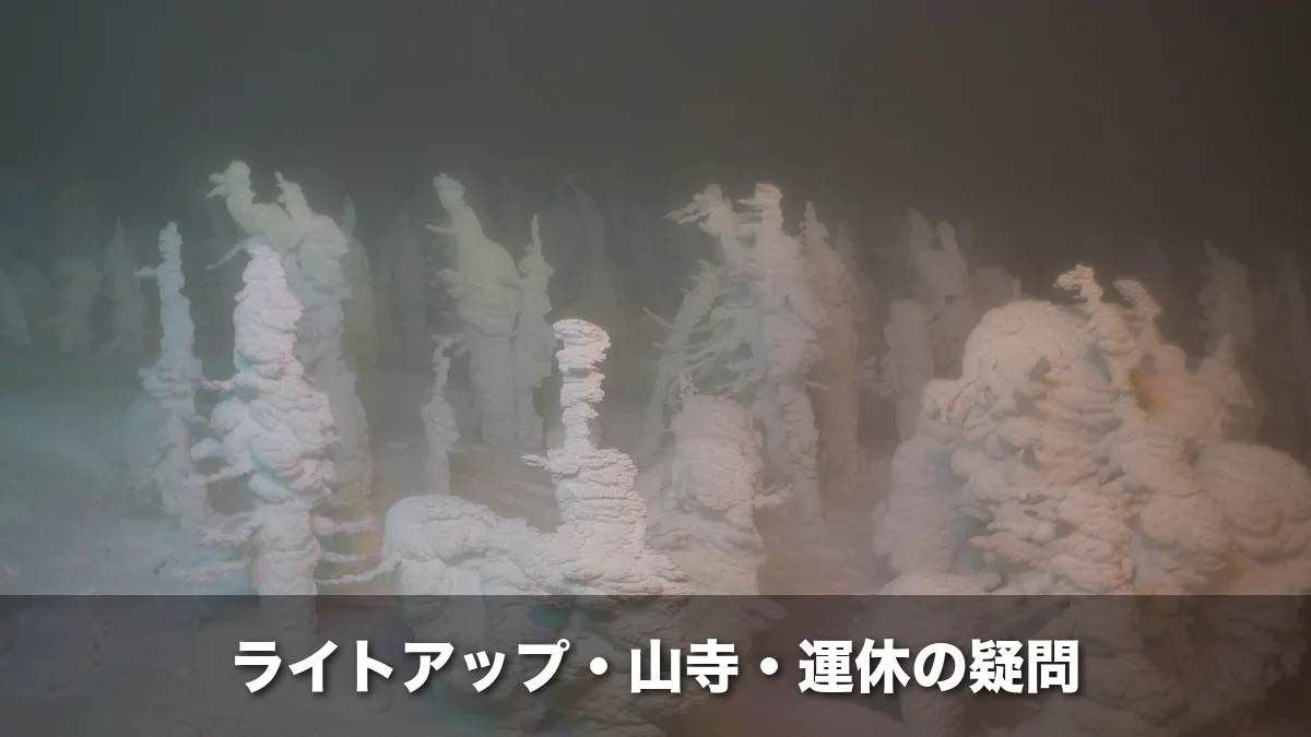 夜の照明に浮かぶ蔵王の樹氷