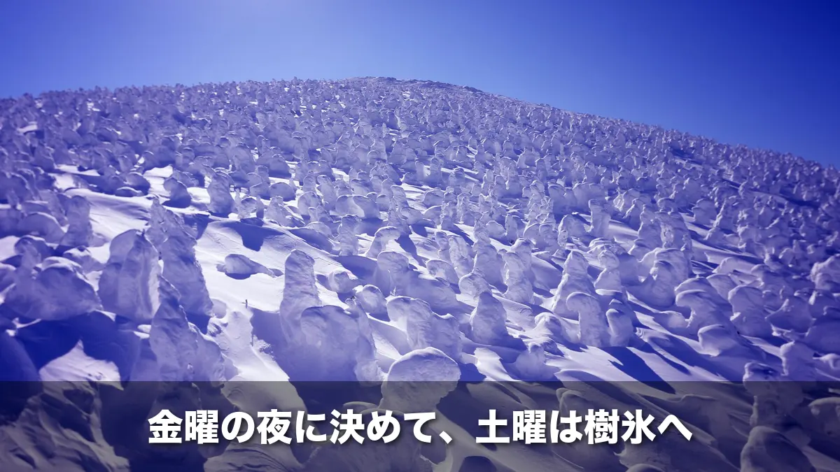 青空の下に広がる蔵王の樹氷原