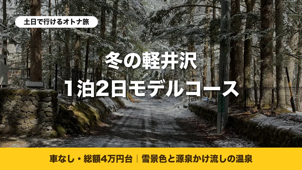 雪が積もった冬の軽井沢の森の小道