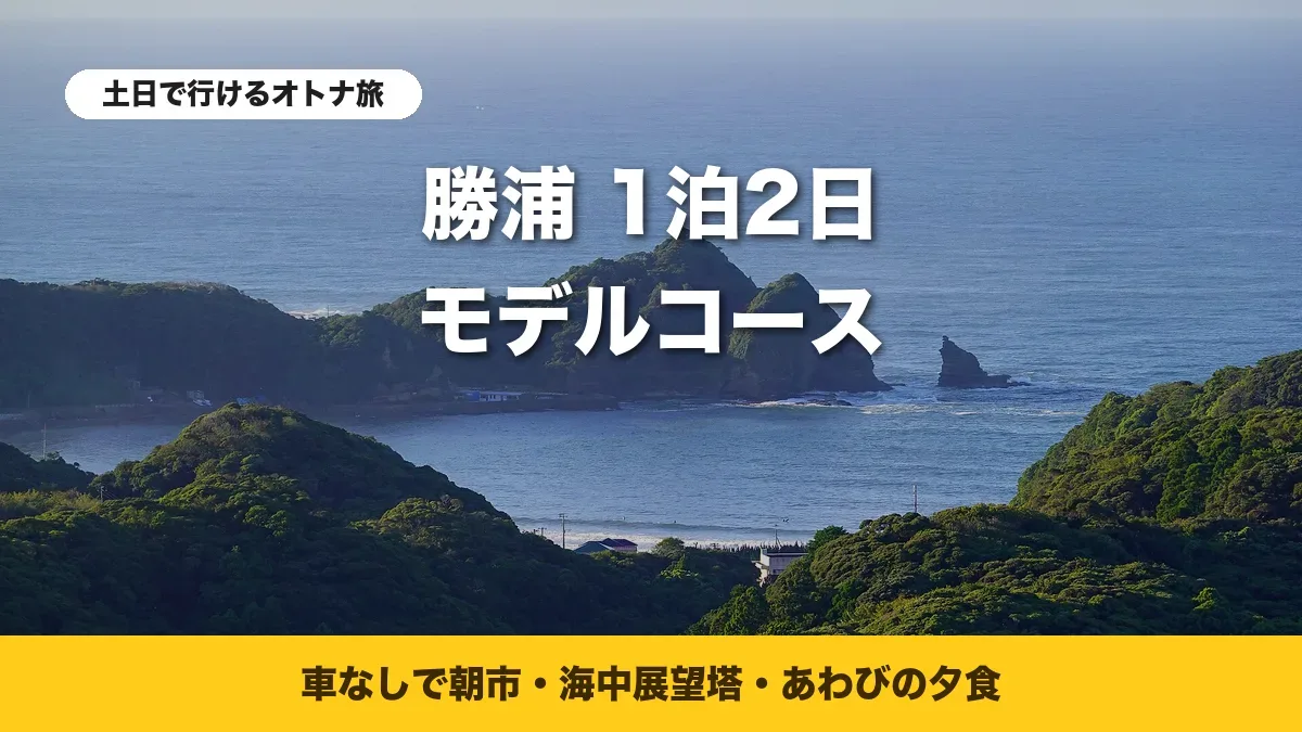高台から見た鵜原の岬と入り江