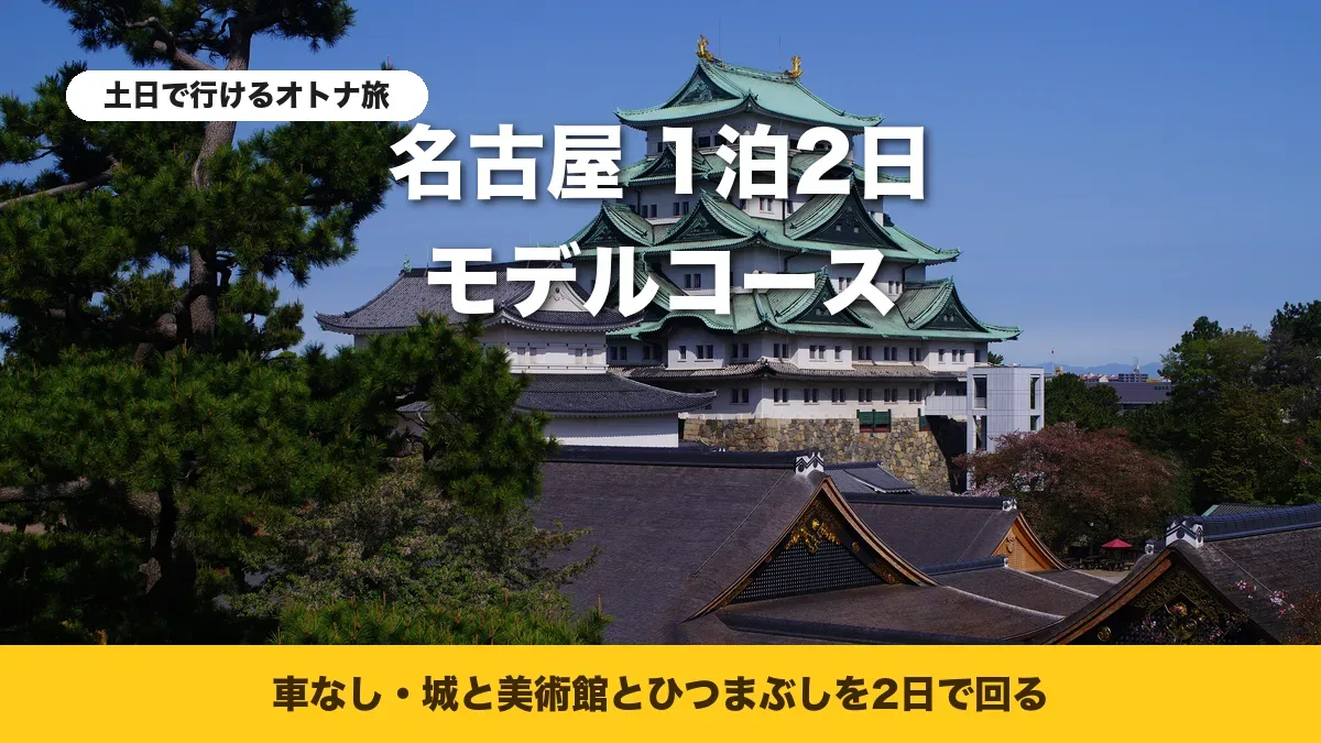 松の間から見た名古屋城の天守と本丸御殿の屋根