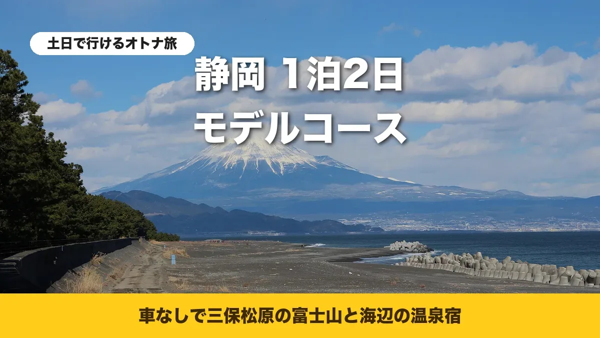 三保松原の松並木の堤防と雪をかぶった富士山