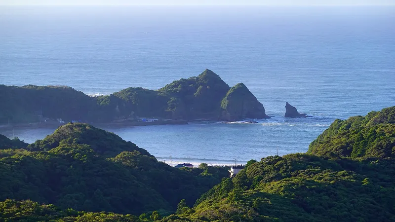 高台から見た鵜原の岬と入り江