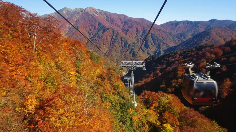 紅葉の中を進む谷川岳ロープウェイのゴンドラ