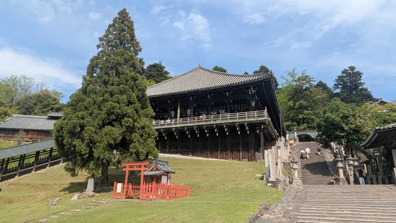 東大寺二月堂の舞台と良弁杉