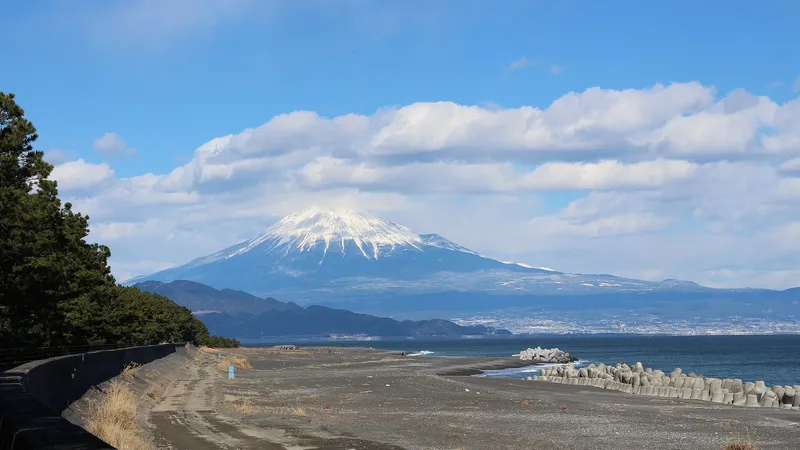 三保松原の松並木の堤防と雪をかぶった富士山