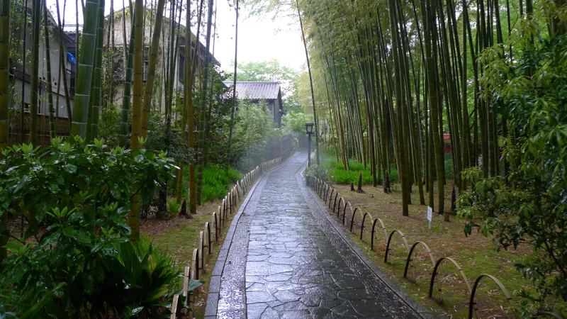 修善寺温泉の竹林の小径